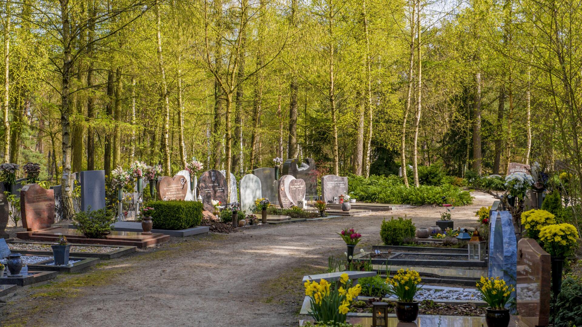 Grafrechten voor onbepaalde tijd | GroenLinks Amersfoort